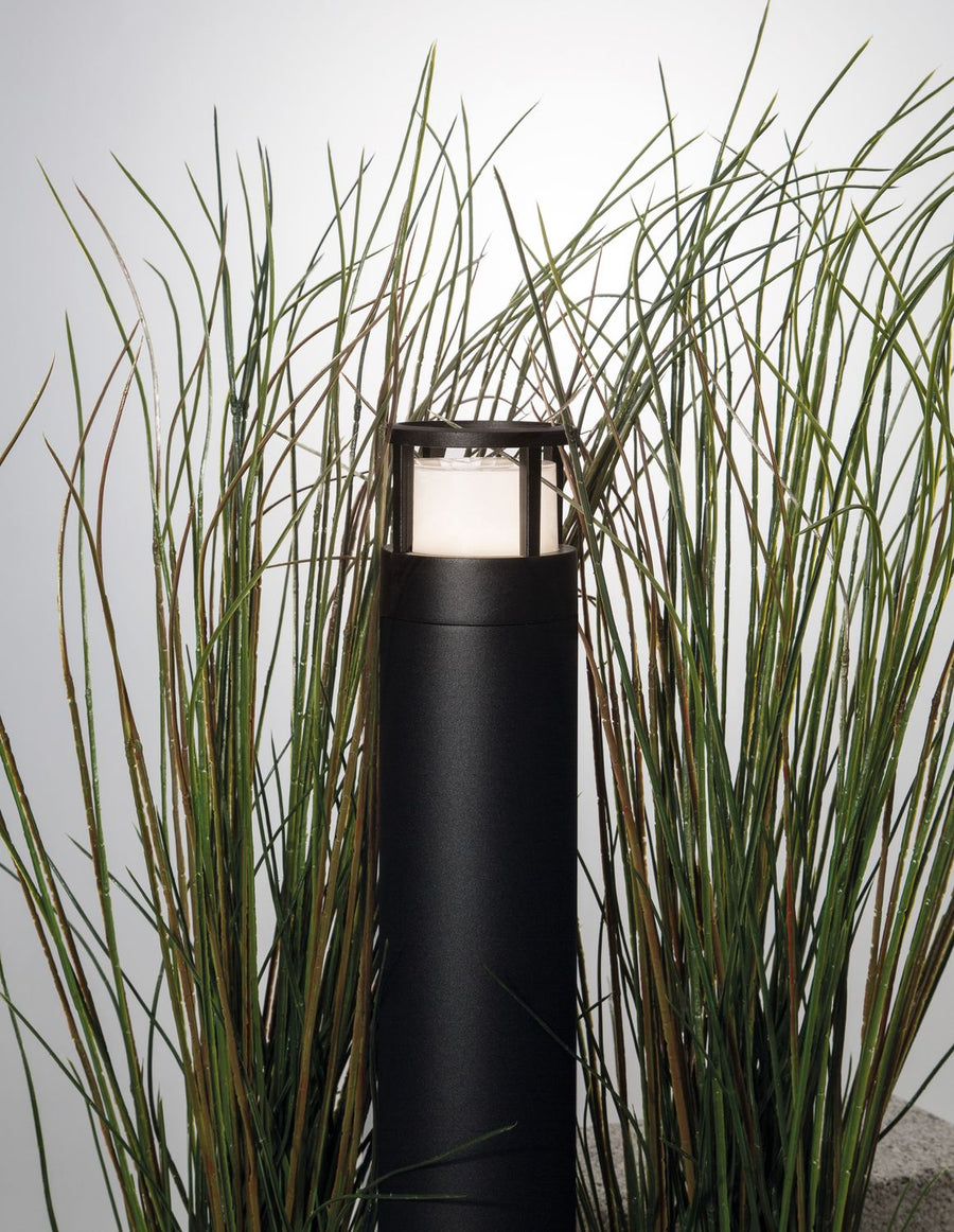 Détail du sommet de la borne noire entourée de hautes herbes vertes
