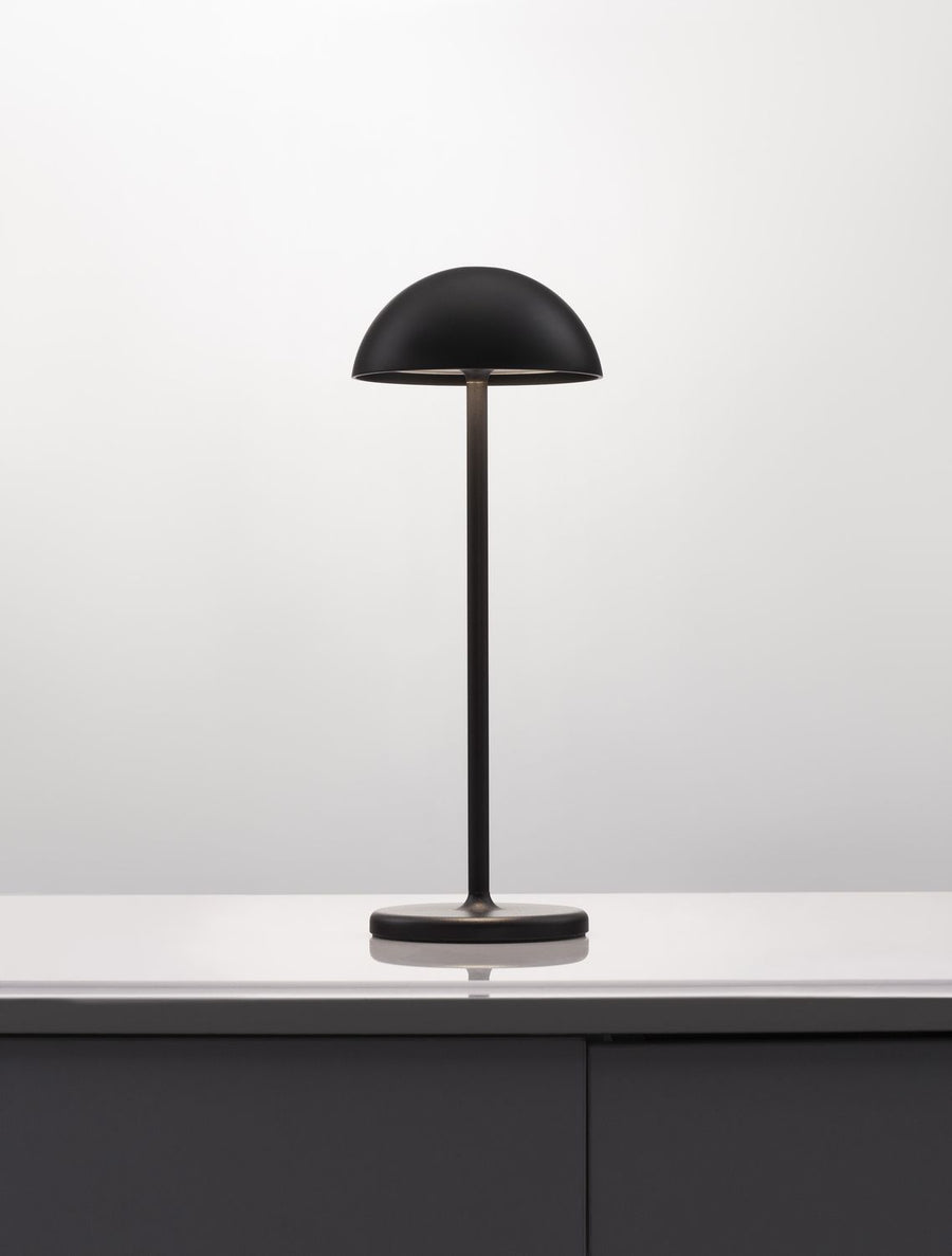 Lampe extérieure Rose noire