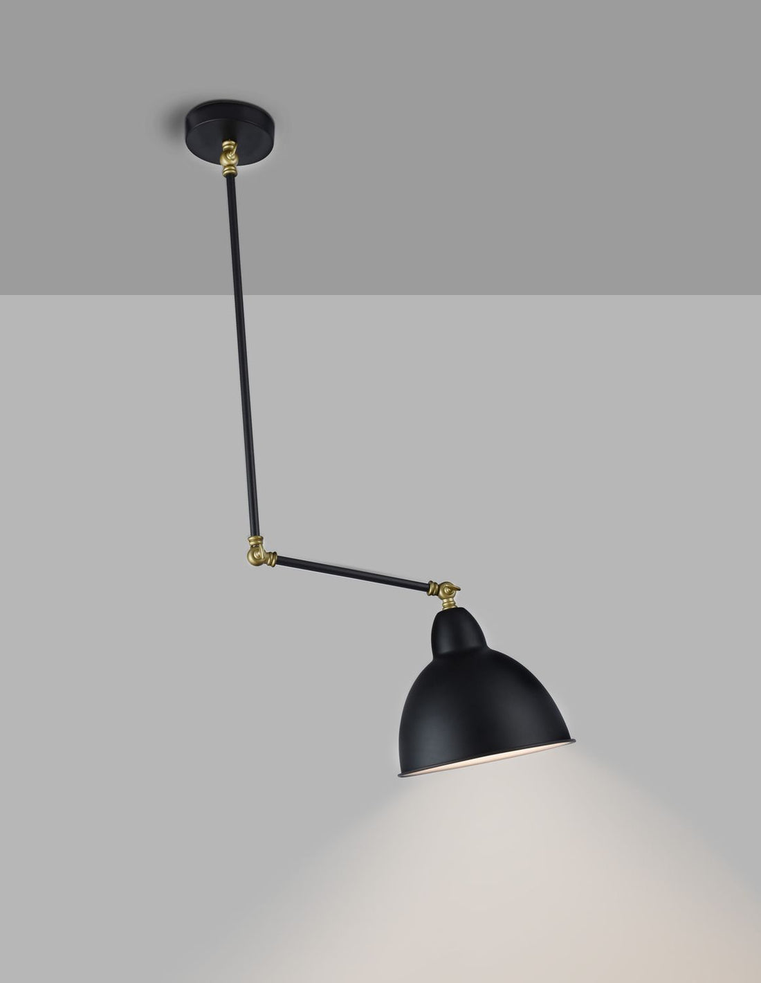 Suspension luminaire | Virgo Noire