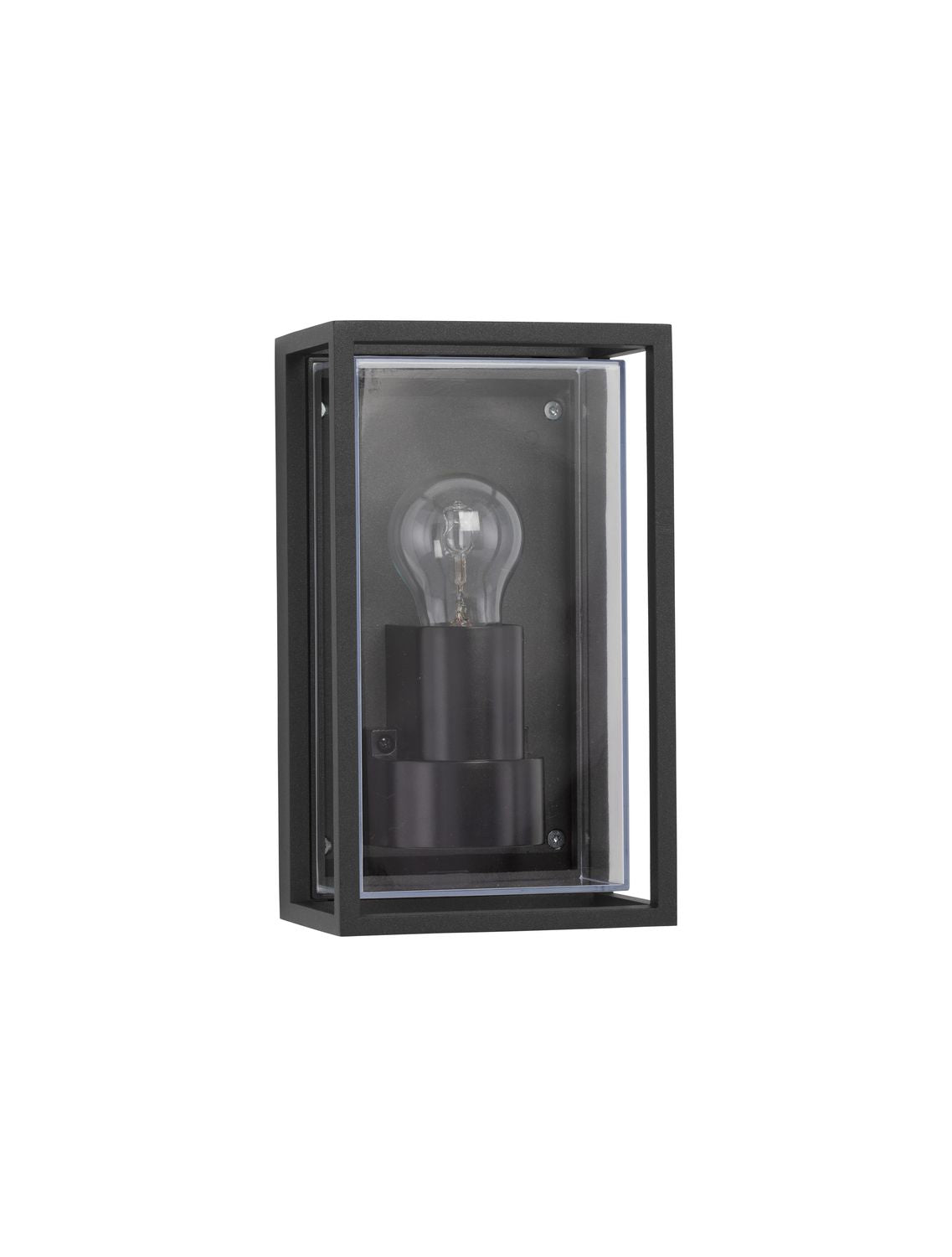 Vue de trois quarts du luminaire rectangulaire noir avec verre transparent et ampoule.