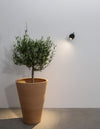 Luminaire extérieur | Fend Noire H 15 cm