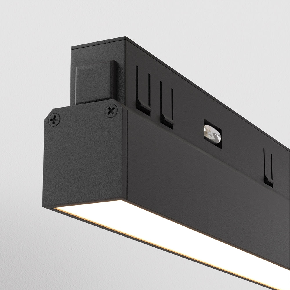 Basis Spot noir