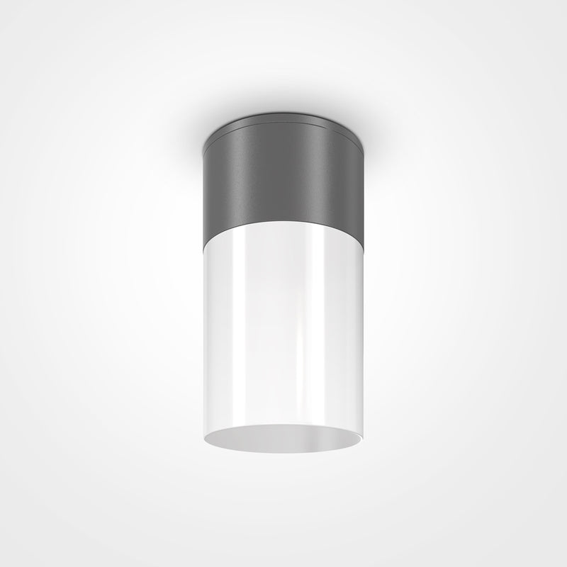 Willis Luminaire