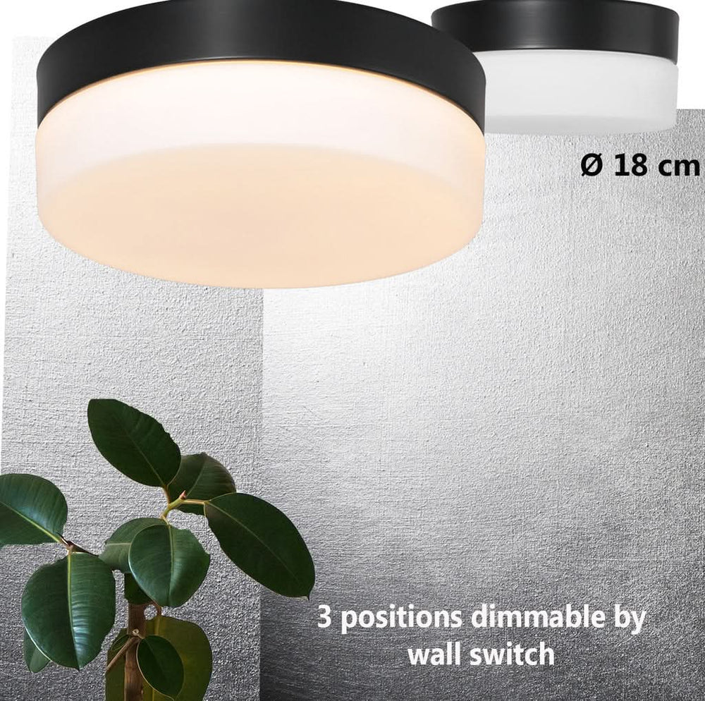 Showroom Designix Lyon
