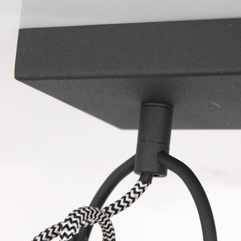 Plafonnier Contemporain Noir Doré | Zina - Designix Plafonnier
