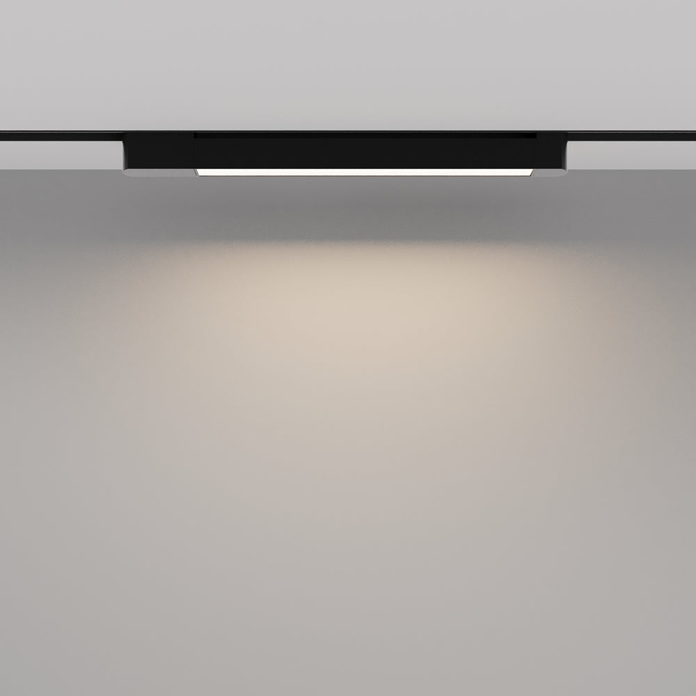Basis Rot Spot noir