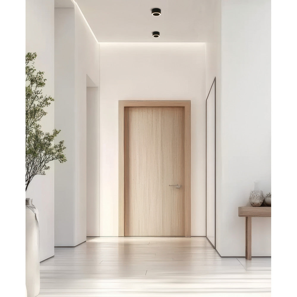 Vue large d'une entrée minimaliste avec plancher clair et deux luminaires fixés au plafond