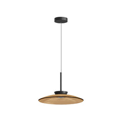 Suspension luminaire | Vire