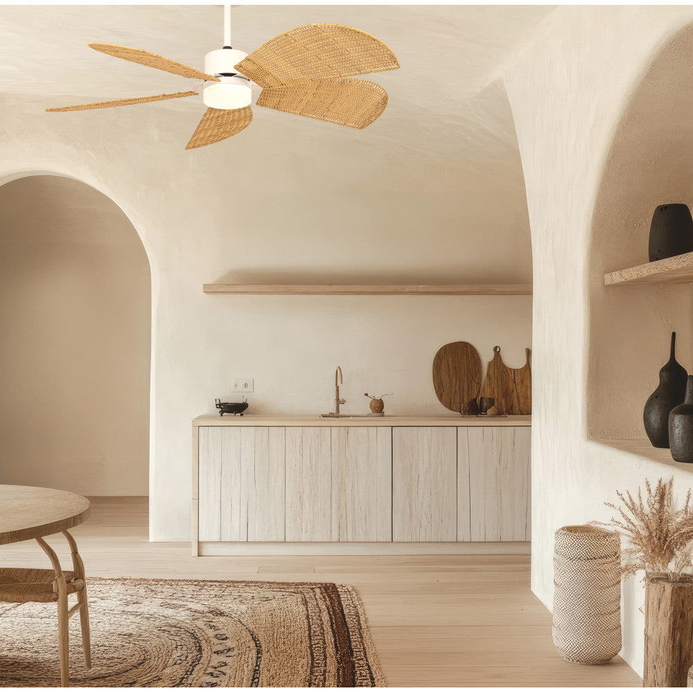Showroom Designix Lyon