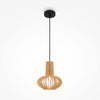 Roots Suspension luminaire noir