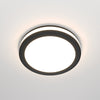 Phanton Spot noir