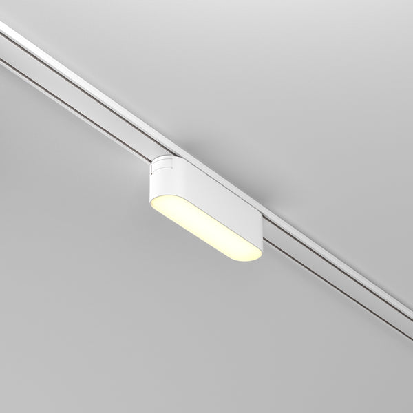 Basis Spot blanc