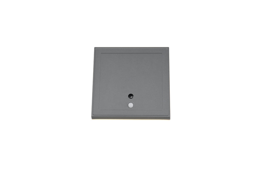 Applique extérieure Fortaleza anthracite (R23056242)