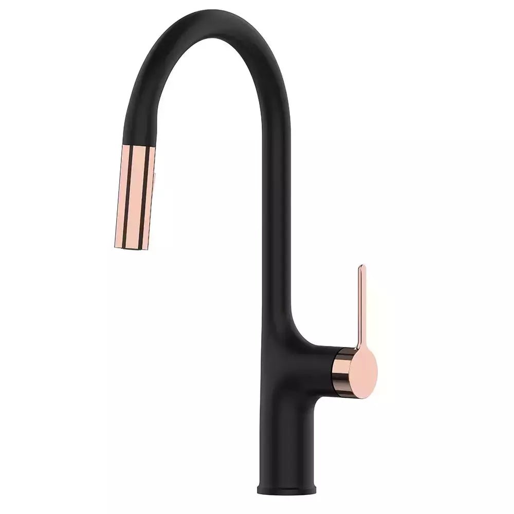 Robinets Éviers Cuisine | Laiton Poli - Designix Robinets et Mitigeurs Noir Rose Or