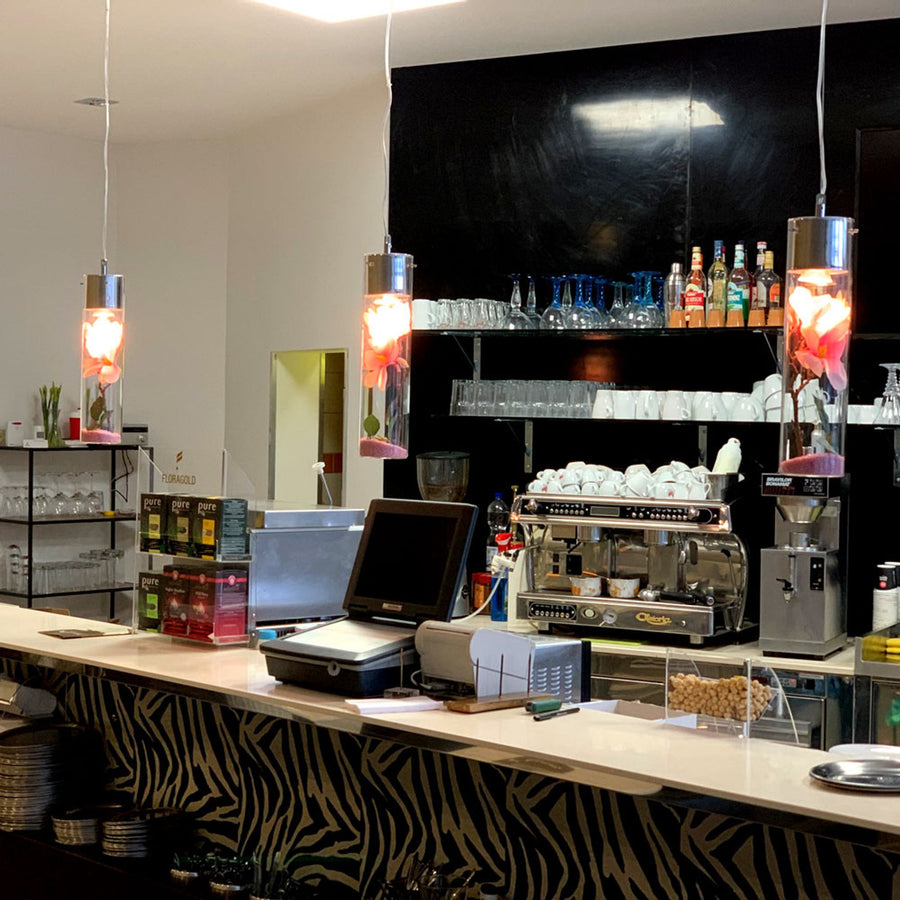 Deux suspensions à cylindre transparent garni de fleurs roses éclairant un comptoir de bar-café.