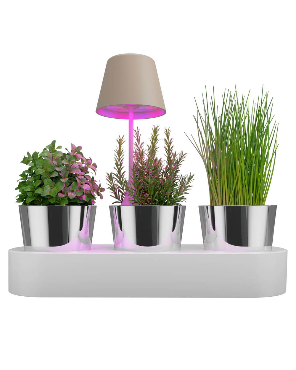 Showroom Designix Lyon