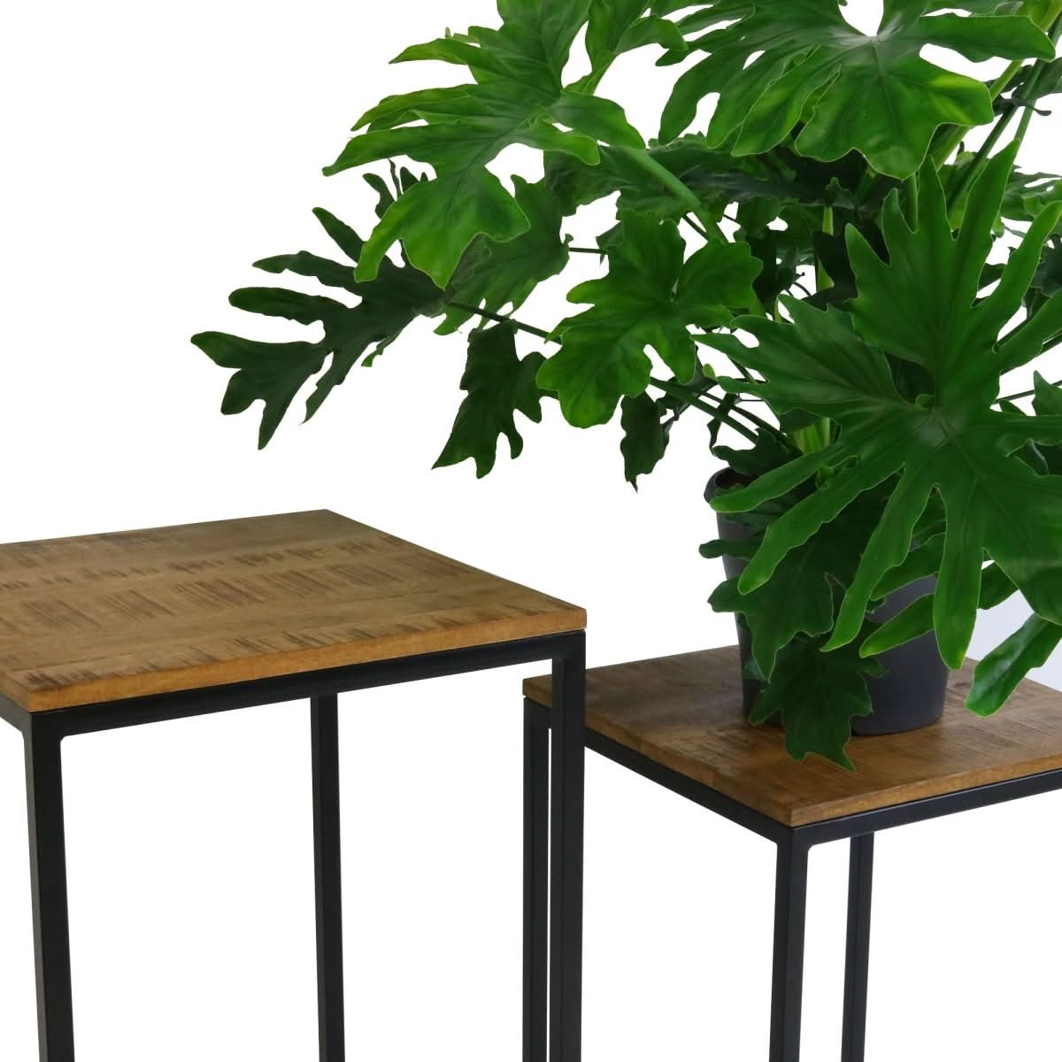 Support De Plante Moderne En Bois Mango Et Métal Noir | NOVA - Designix