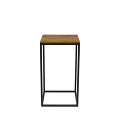 Support De Plante Moderne En Bois Mango Et Métal Noir | NOVA