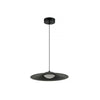 Suspension luminaire | Apicis