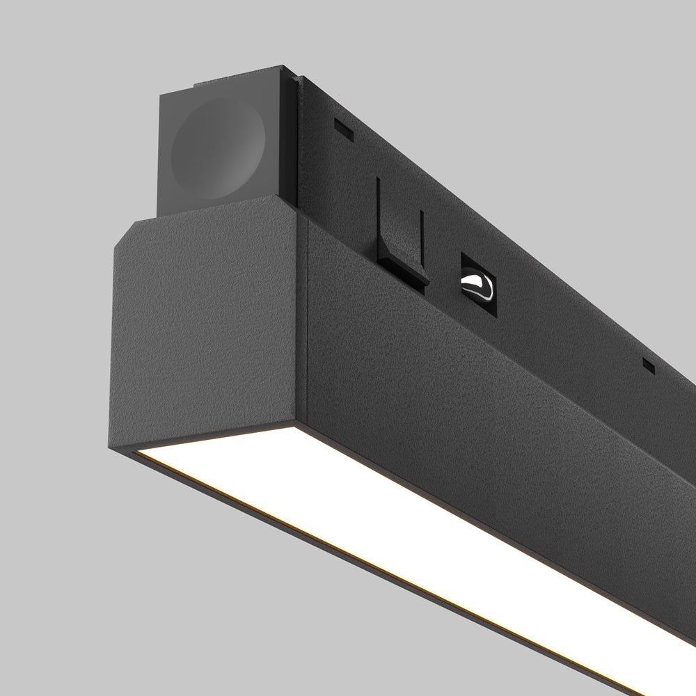 Basis Spot noir