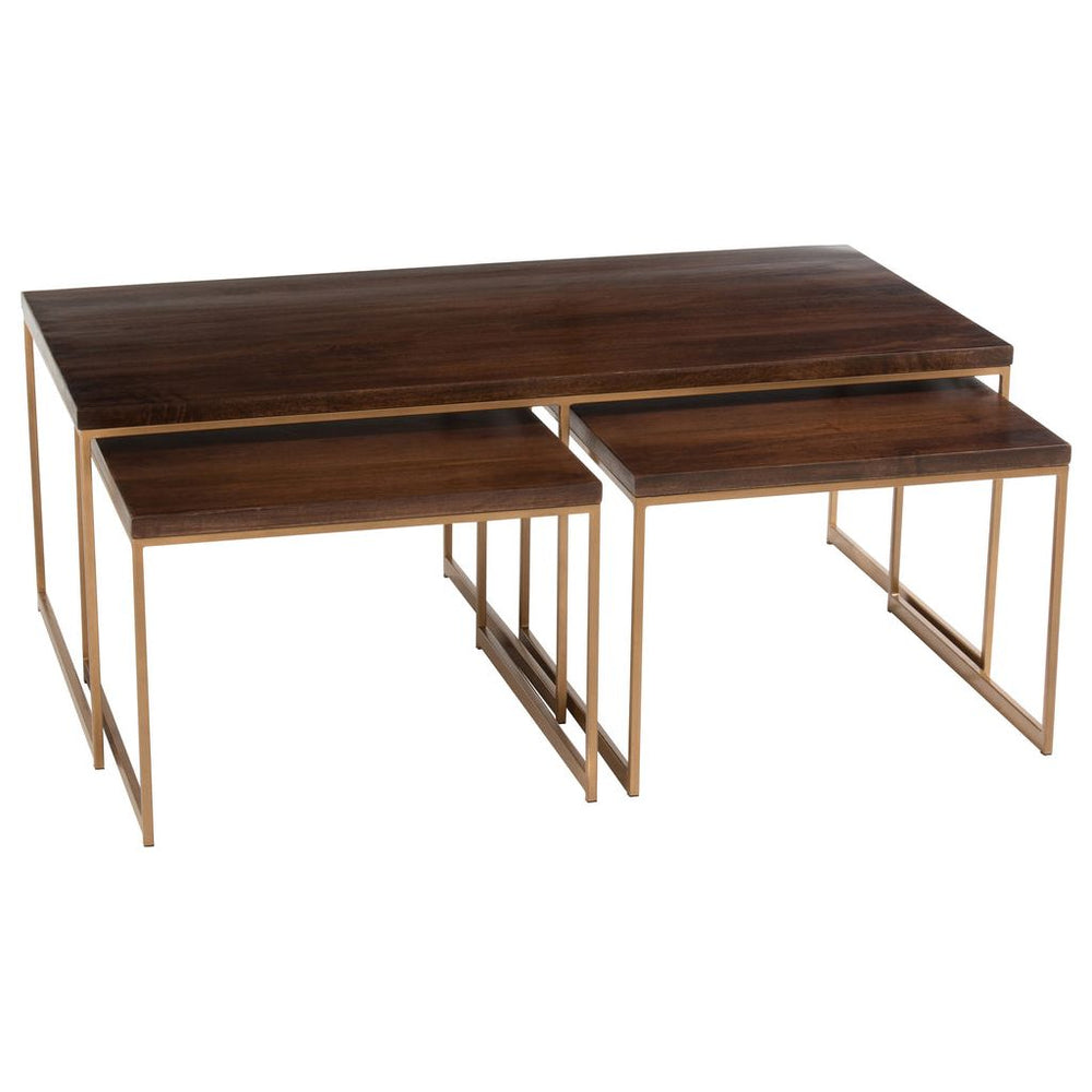 Table Basse Rafi Fer Bois Mangue - Designix