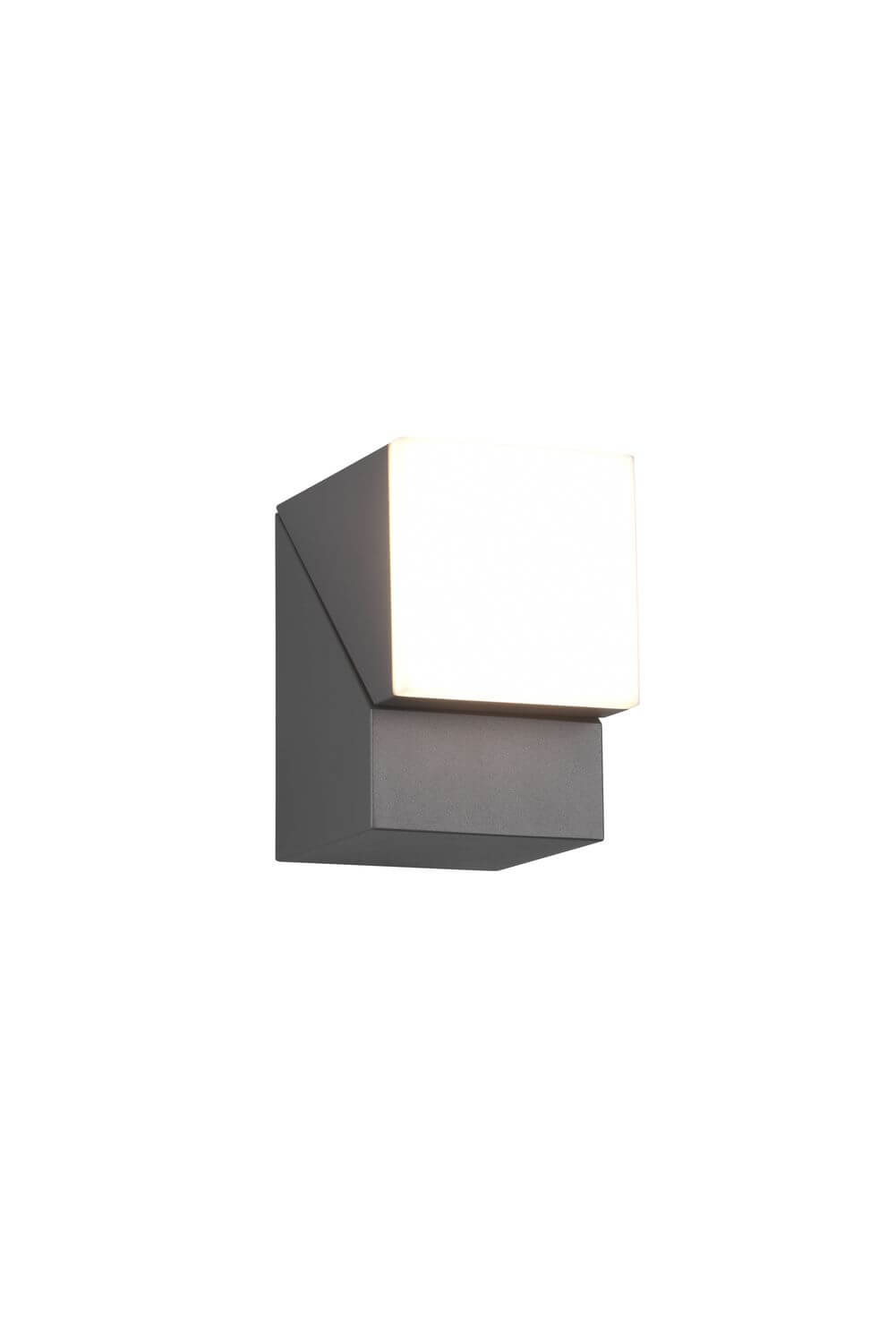 Luminaire extérieur | Avon Anthracite