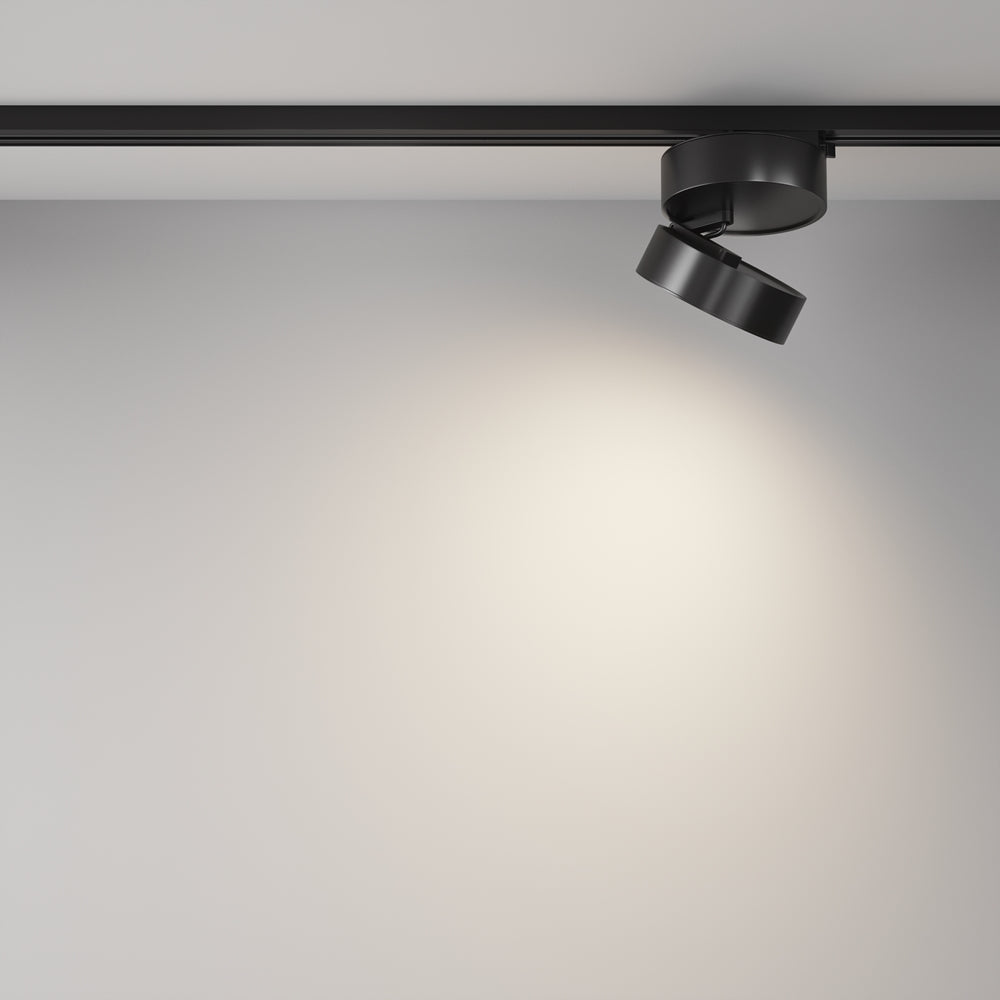ONDA Spot noir