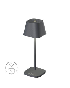 Lampe extérieure Neapel Micro RC anthracite (97261-VB)