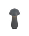 Lampe extérieure Modena anthracite, L 16 cm (97281)