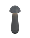 Lampe extérieure Modena anthracite, L 21 cm (97291)