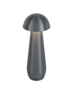 Lampe extérieure Modena anthracite, L 21 cm (97296-VB)