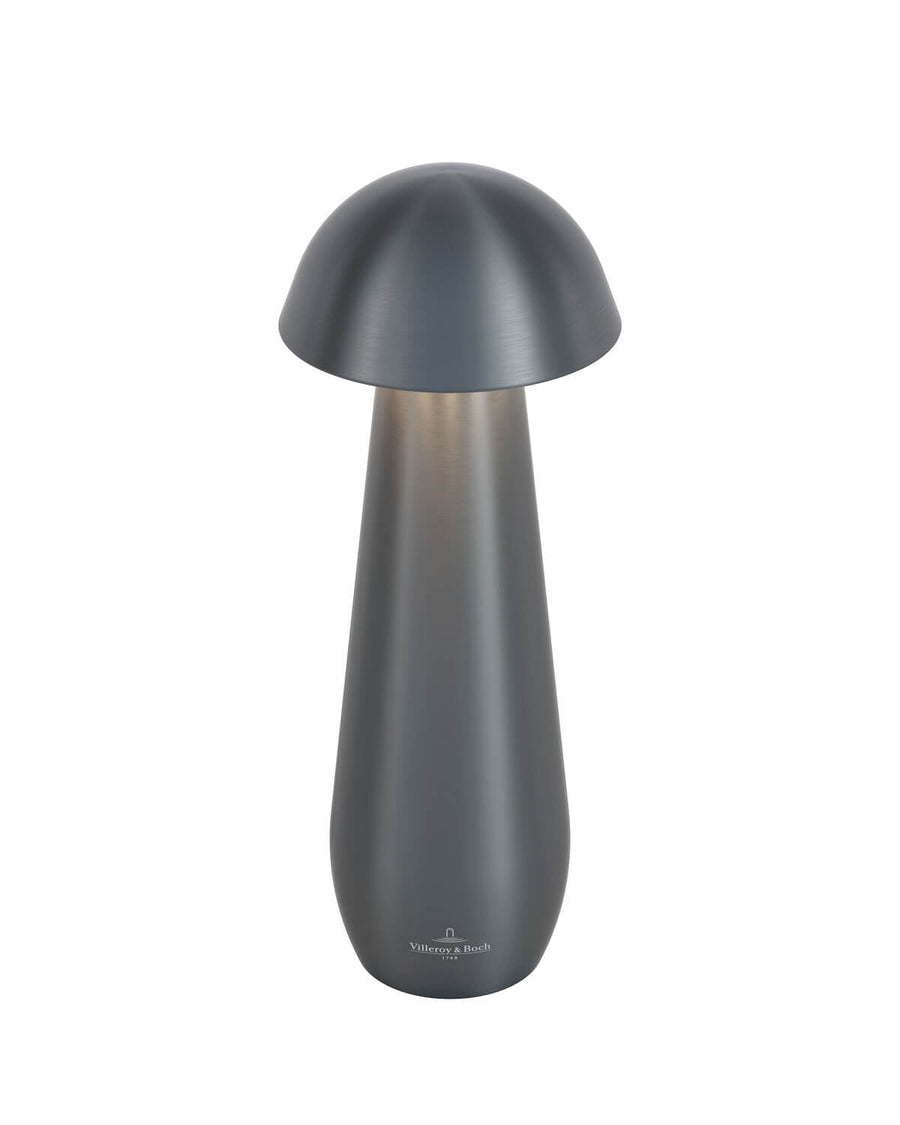Lampe extérieure anthracite à poser, vue de face sur fond blanc