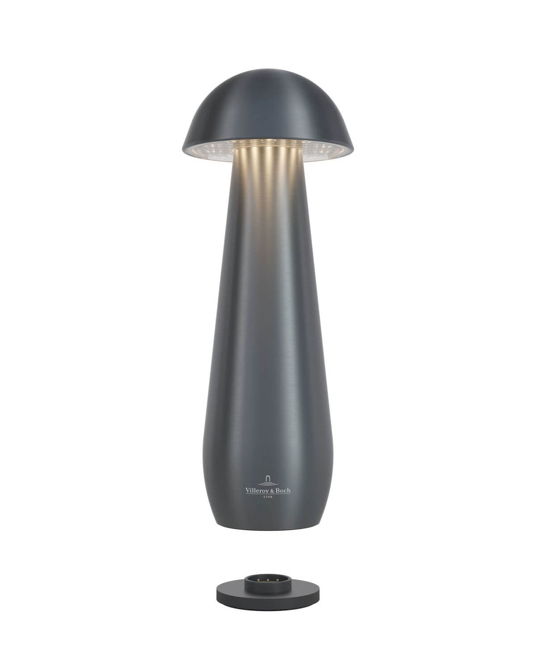 Lampe extérieure Modena anthracite, L 21 cm (97296-VB)
