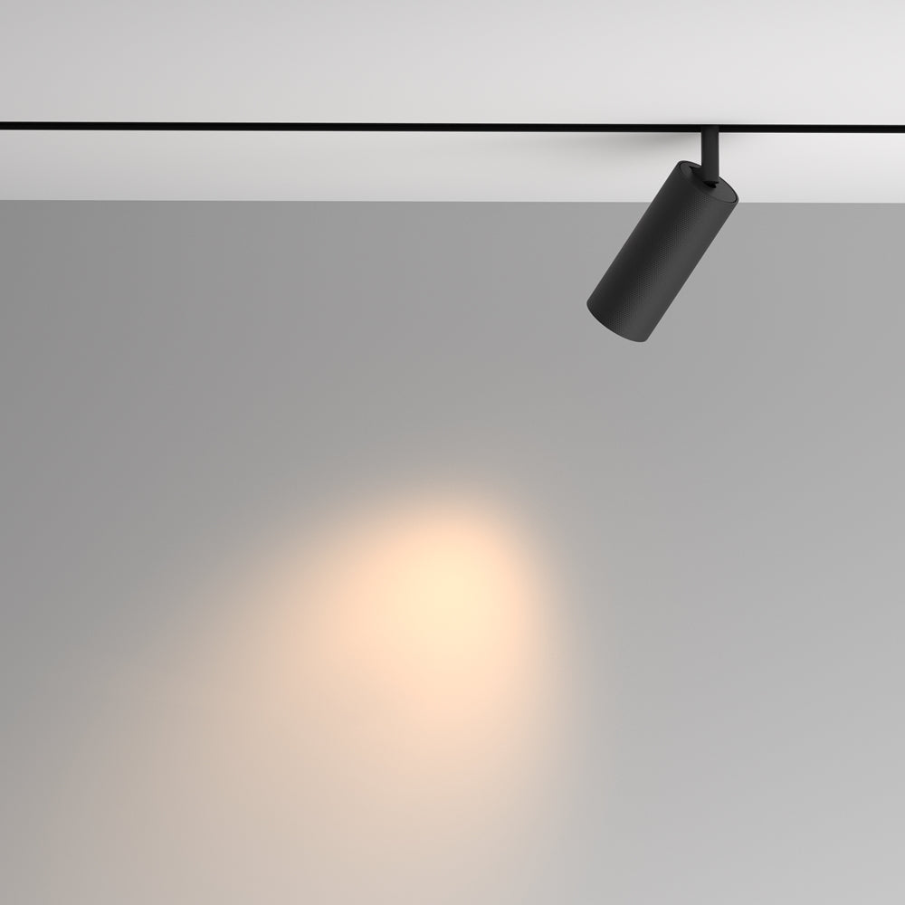 Artisan Spot noir