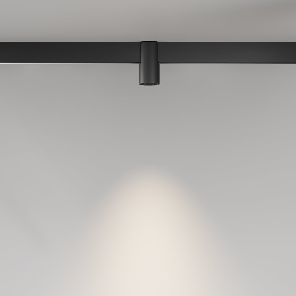 Alfa Spot noir