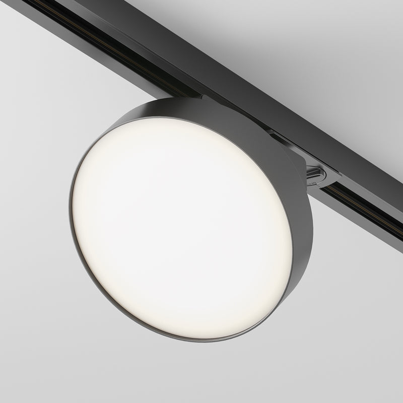 Zon Spot noir