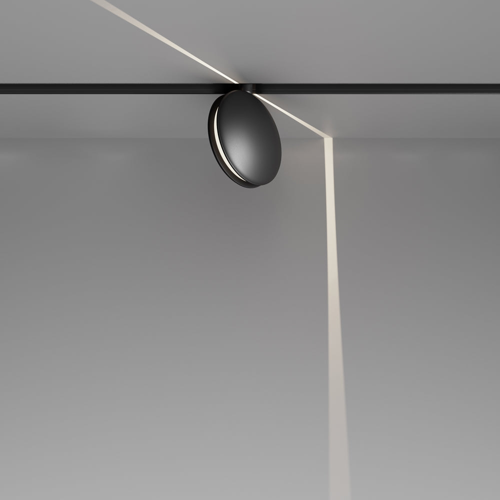 Outline Spot noir