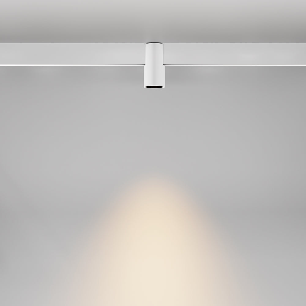 Alfa Spot noir