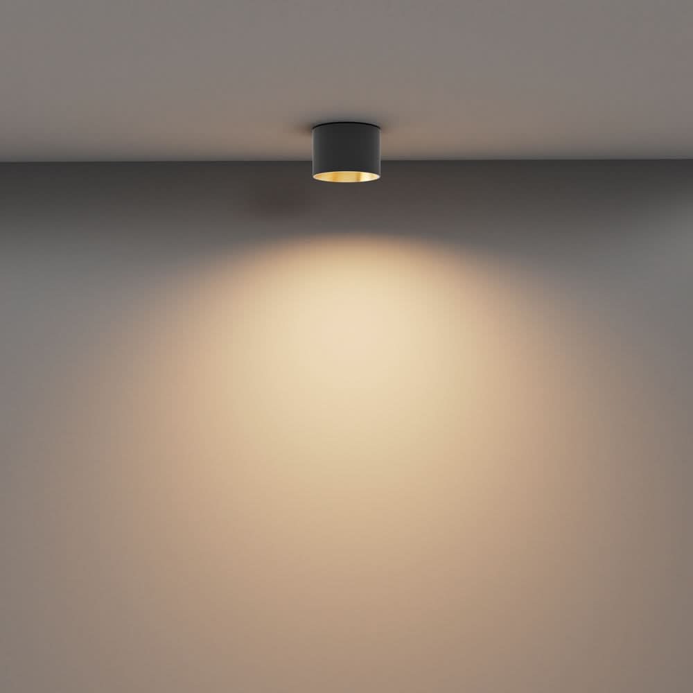 Vega Plafonnier noir
