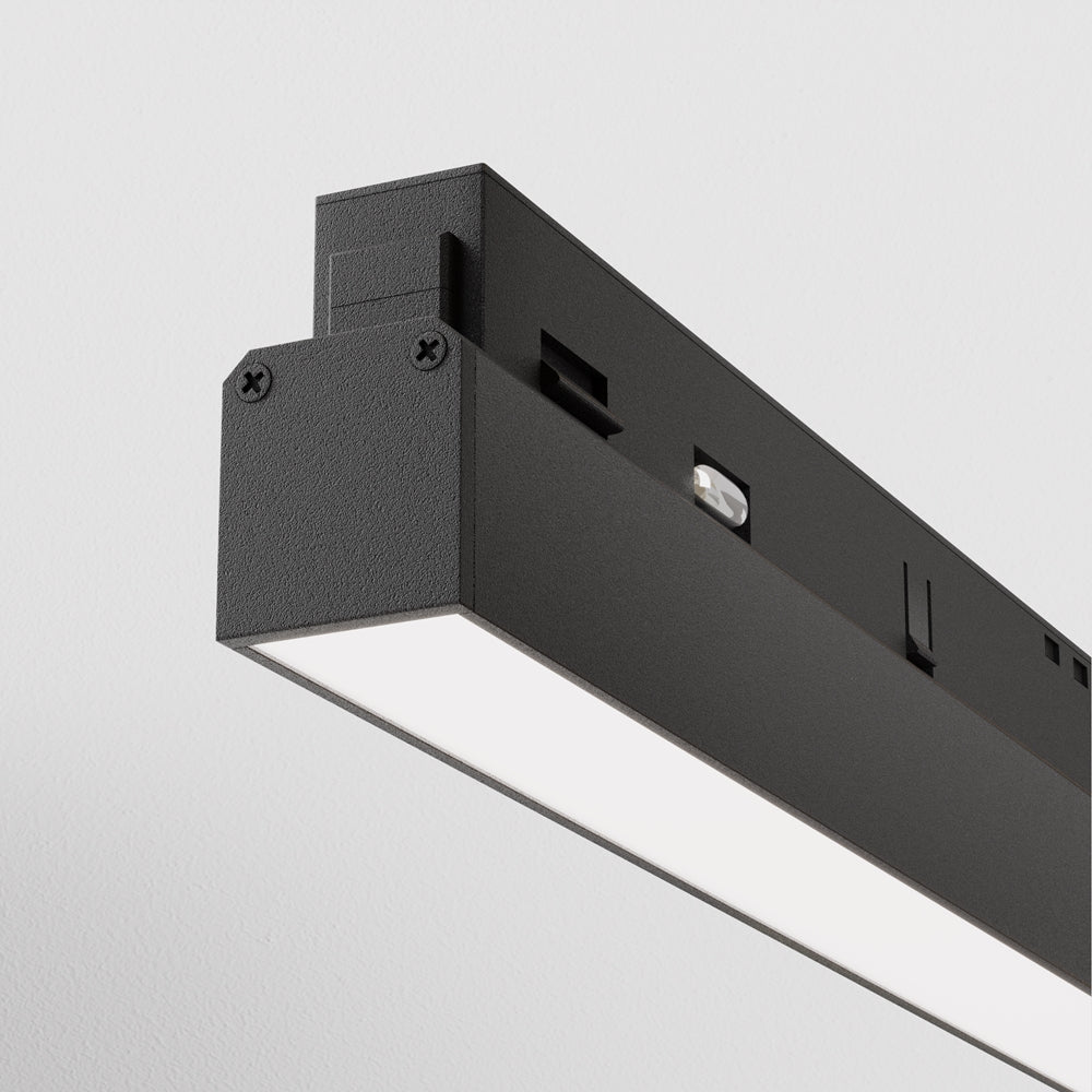 Basis Spot noir