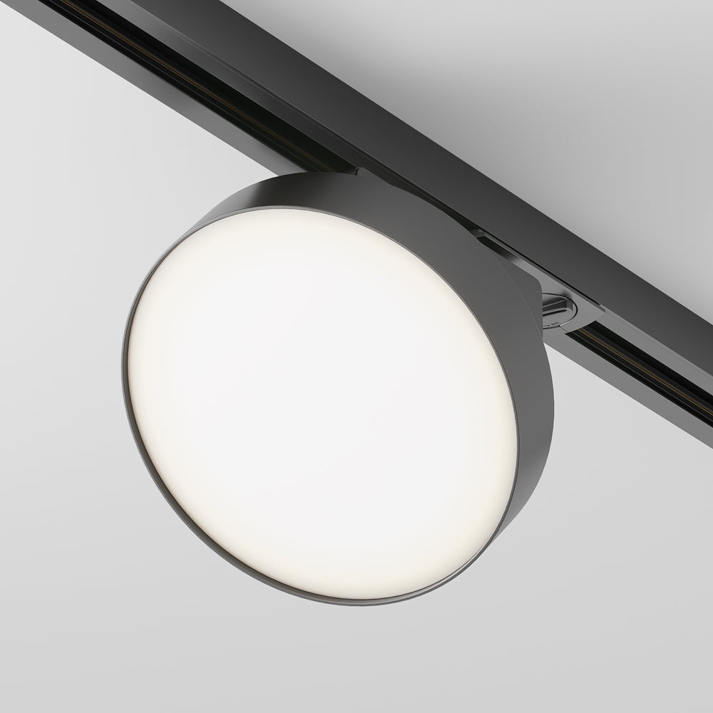 Zon Spot noir