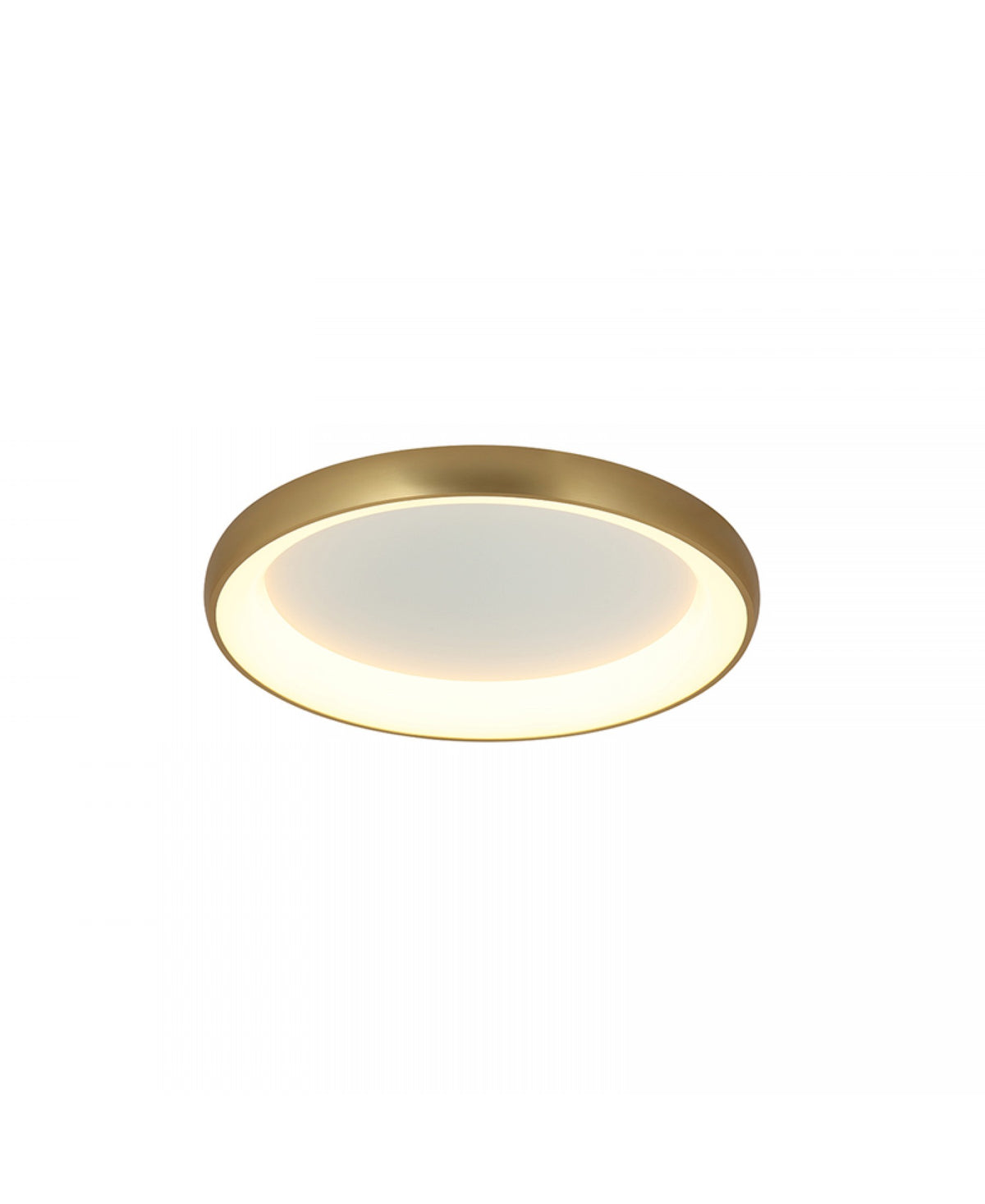 Détail rapproché du cerclage or brossé et du halo lumineux périphérique