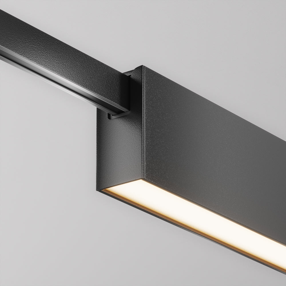 Basis Spot noir