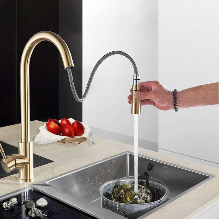 Mitigeur Cuisine avec Douchette Extractible - Designix Mitigeur cuisine Nickel Brossé