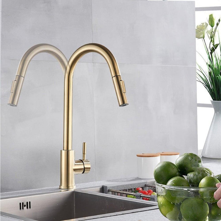 Mitigeur Cuisine avec Douchette Extractible - Designix Mitigeur cuisine Or Brossé
