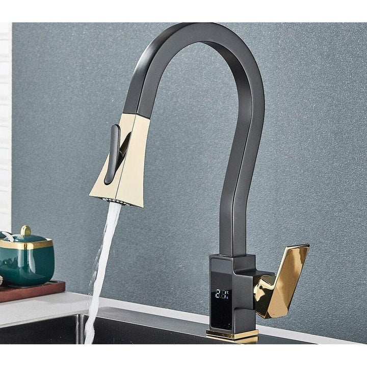 Mitigeur Cuisine Douchette | Signature Brillante - Designix Mitigeur cuisine Noir et Or