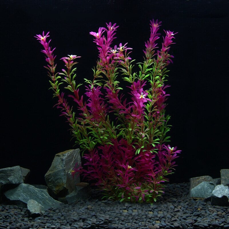 Plante Artificielle Aquarium | Mauvaises Herbes | Designix - Plante artificielle 40cm Rose  - https://designix.fr/