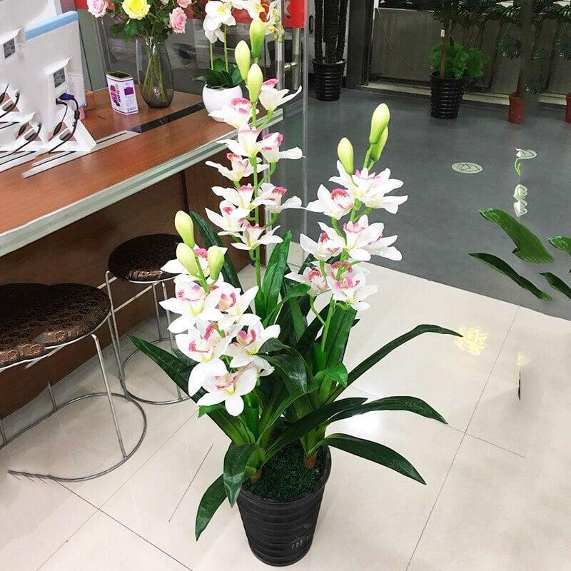Plante Artificielle Tropicale | Cymbidium - Designix Plante artificielle Blanc