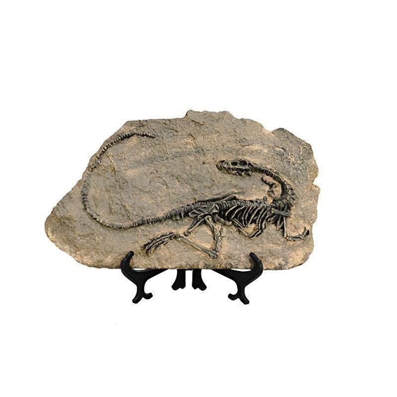 Statuette Fossile Dinosaure Résine | Ibis - Designix Statuette Dinosaure 2
