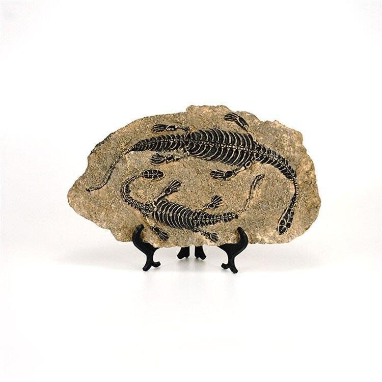 Statuette Fossile Dinosaure Résine | Ibis - Designix Statuette Dinosaure 3